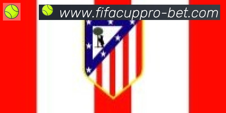 FIFA世界杯下注入口合作伙伴